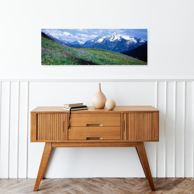 Fleurs sauvages le long d'une montagne, Zillertaler, Autriche