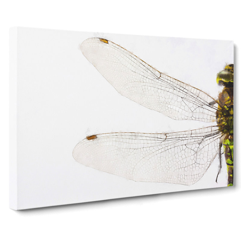 Dragonfly Vol.1 - Wrapped Canvas Print, 35cm H x 50cm W x 3cm D