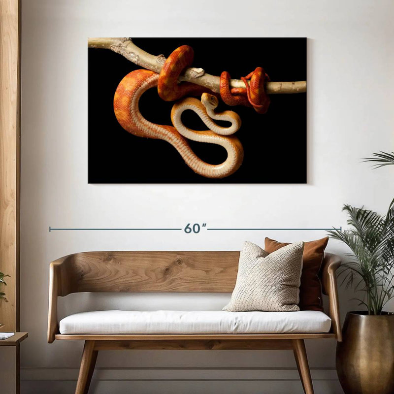 Brampt Red Tailed Boa, 30" H x 45" W