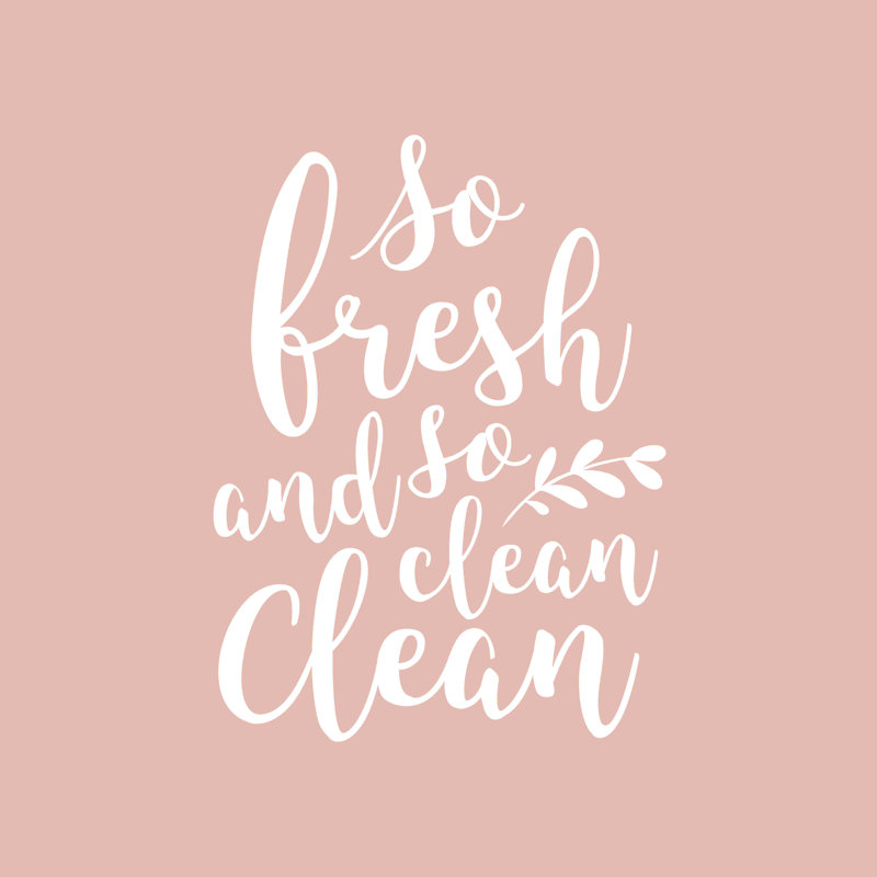 «So Fresh So Clean Clean Pink», art textuel sur toile tendue, H 36 po x l 36 po