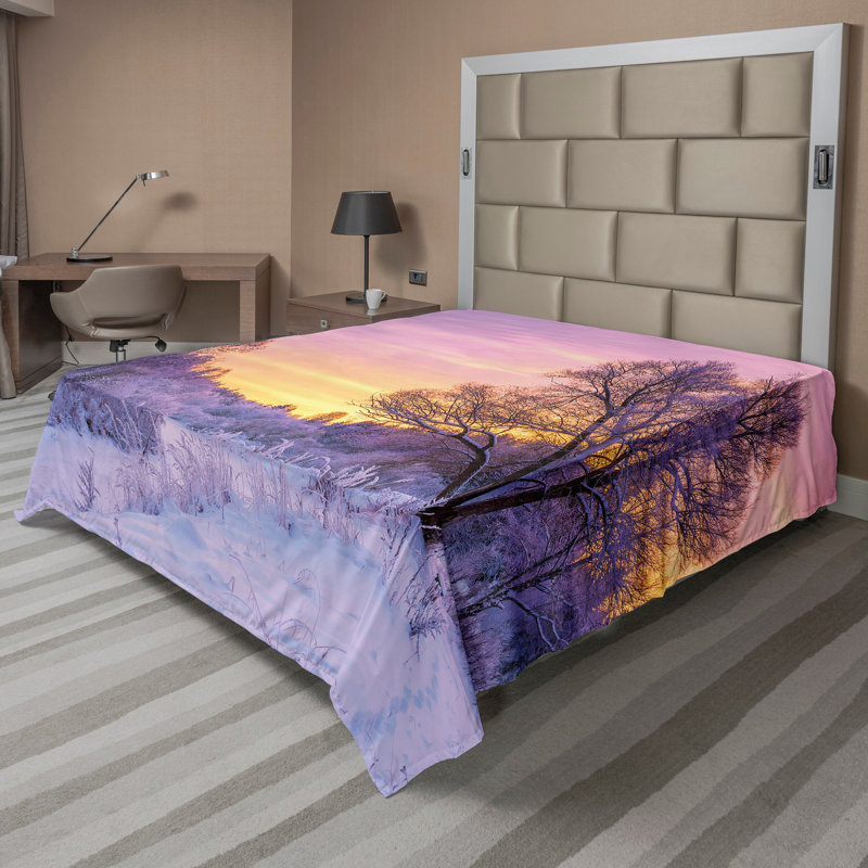 Drap-housse Ambesonne