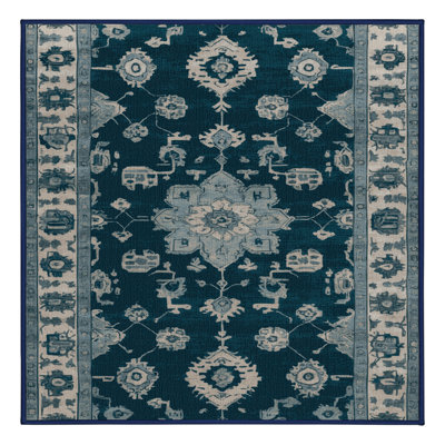 Tapis bleu lavé à la machine