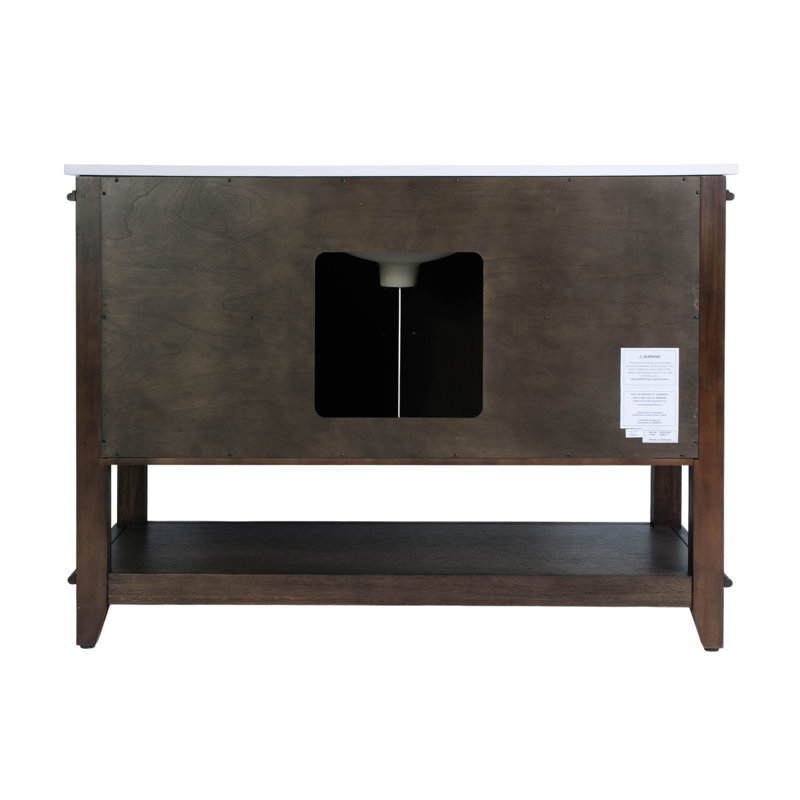 Reece 48 in. W Quartz Top Single Sink Bathroom Vanity
