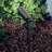 Low Voltage 6" Textured Black Hardwired Outdoor Spotlight with No Bulbs Included-459065461-459065457