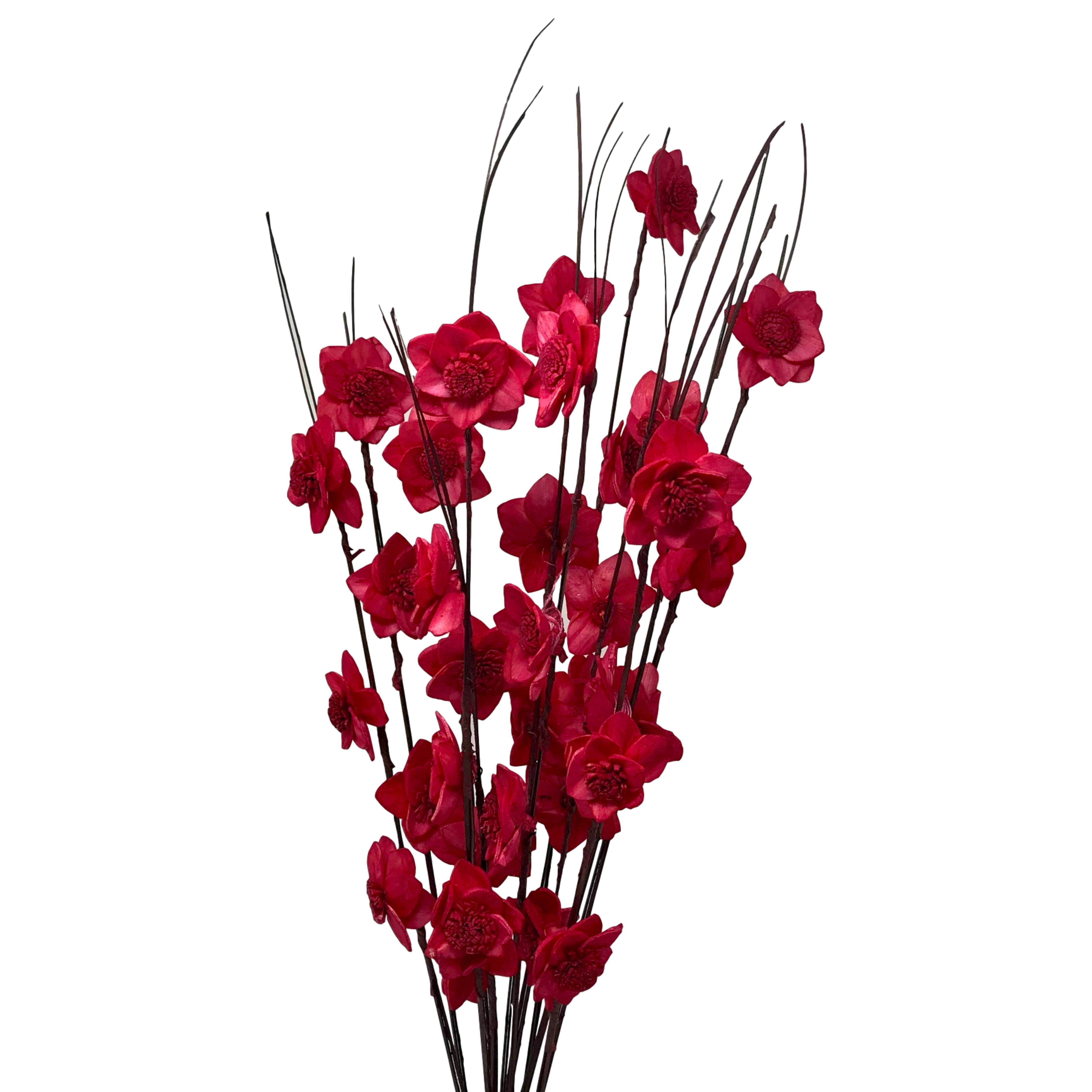 Primrue Eawood Rukmani Flowers Stem Wayfair