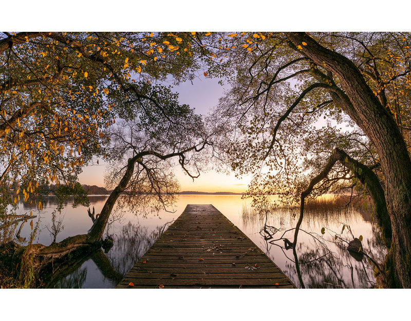 Wrapped Canvas Print, 81.28 cm H x 121.92 cm W