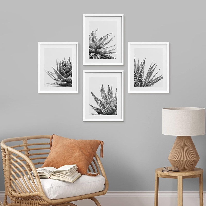 «Snake Plant Agave Cactus Succulent», reproduction encadrée de 4 pièces, H 14 po x l 11 po x P 1 po, Cadre blanc