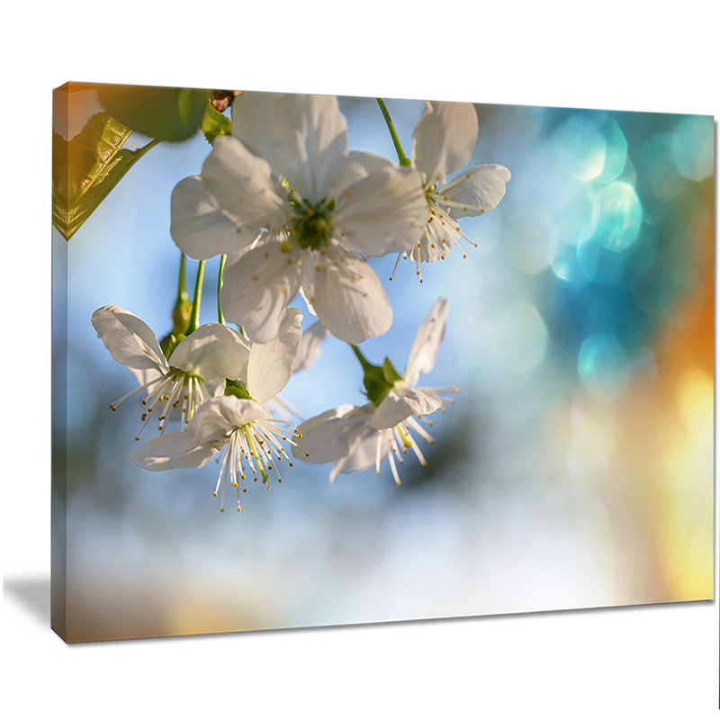 « white fleuring cerise tree », impression sur toile tendue, H 12 po x l 20 po