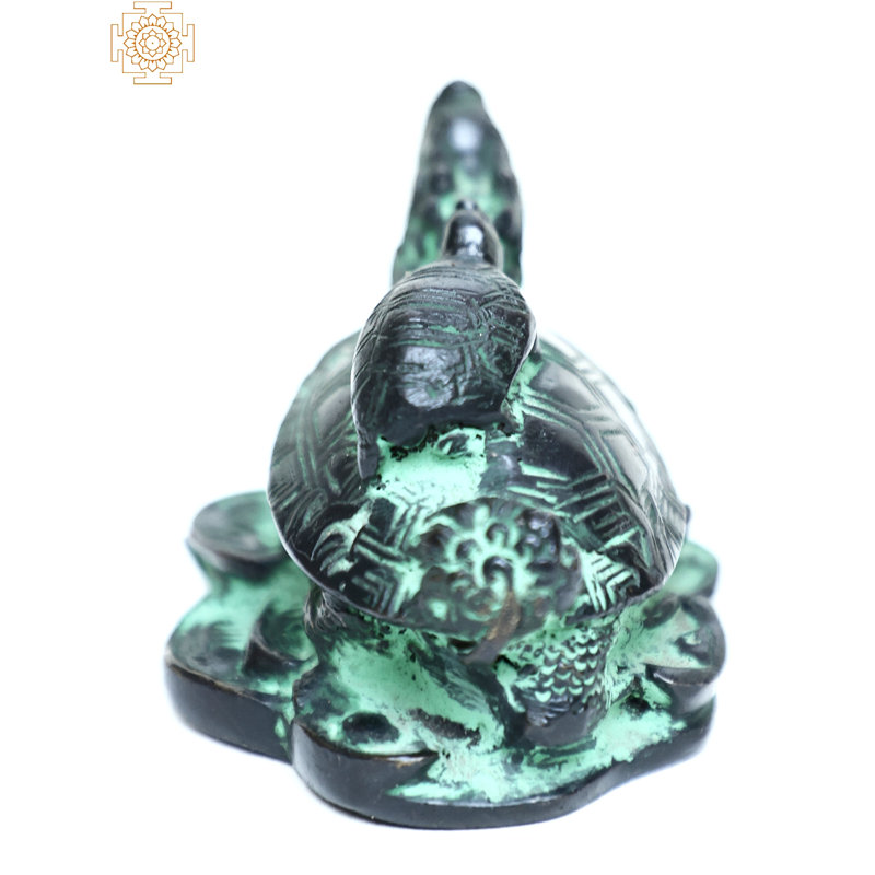 Animals Bust