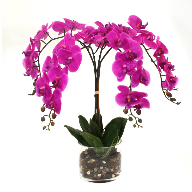 Orchids Floral Arrangement in Vase, Fuchsia
