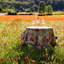 Nappe Leana-572039126