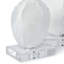 Turtle Shells On Crystal (Set of 2)