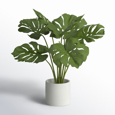 21'' Faux Evergreen Plant in Cement Pot