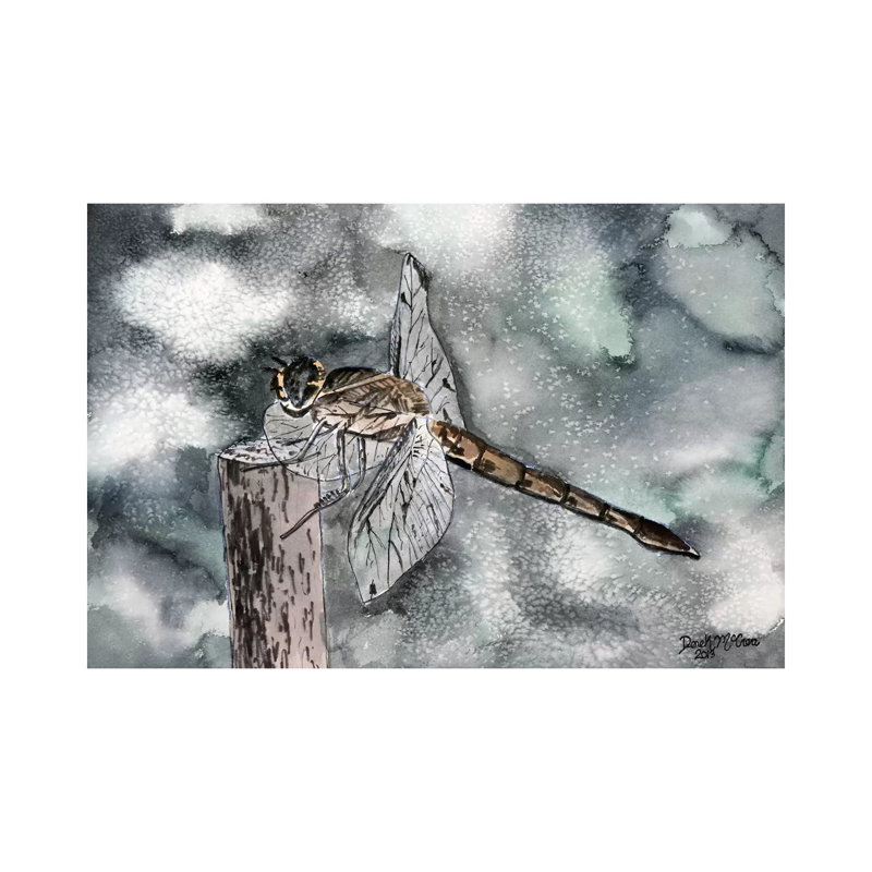 Dragonfly II by Derek McCrea - Wrapped Canvas Gallery-Wrapped Canvas Giclée, 20.32 cm H x 30.48 cm W