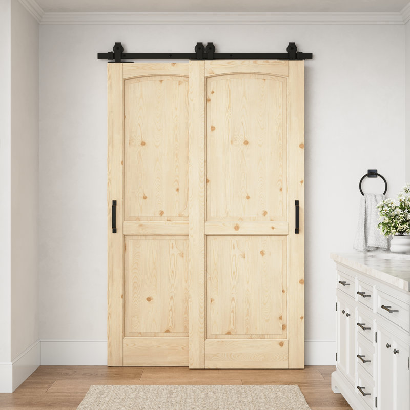 Porte intérieure en pin massif à deux panneaux cintrée de 48 po x 80 po avec ensemble de quincaillerie pour porte coulissante de style grange, idéale pour le salon ou le garde-manger.