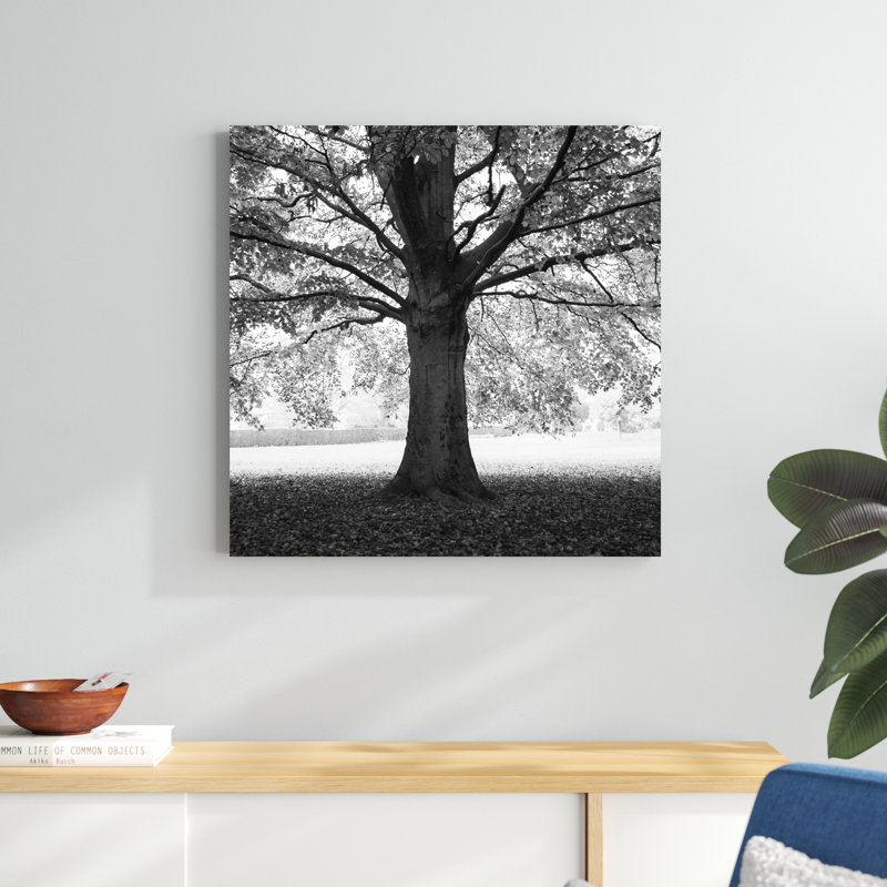Woodland Tones III par Martin Henson - Photographie sur toile tendue, H 30 po x l 30 po x P 1,25 po