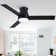 Amici Modern 48'' Flush Mount Ceiling Fan with LED Lights and Remote Control