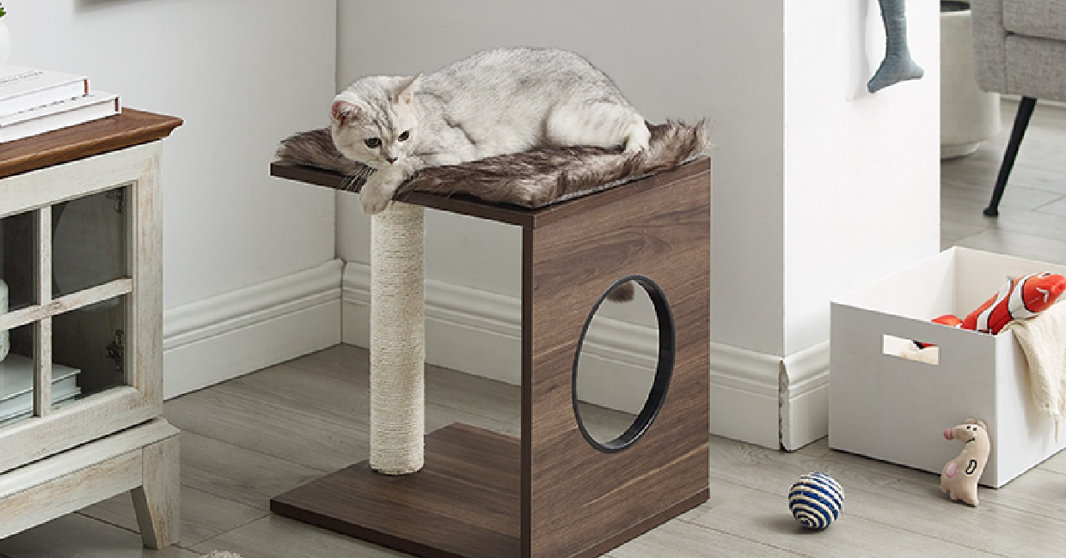 A wonderful pet parent gift