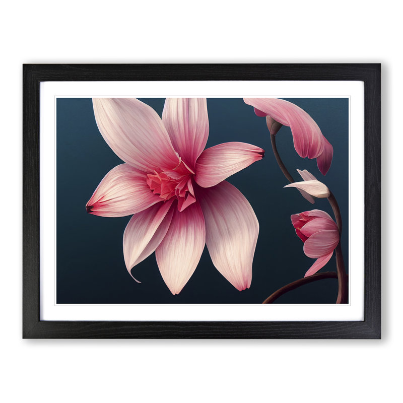 Stunning Flower - Single Picture Frame Print, Black, 46cm H x 64cm W x 2cm D