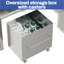 50 Station de lavage pour chien en acier inoxydable