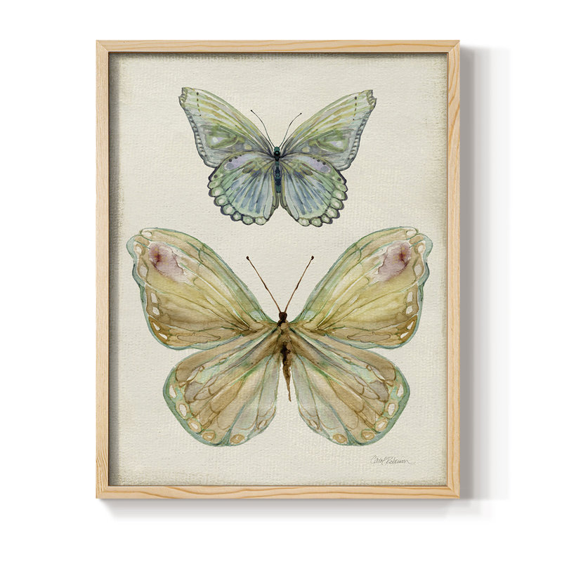 «Botanical Butterfly II», reproduction encadrée - bois massif, Naturel, H 30 po x l 24 po