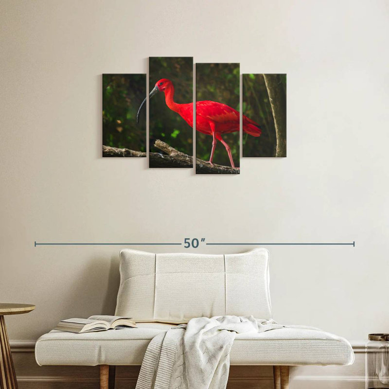 Red Ibis Bird, H 22 po x l 36 po