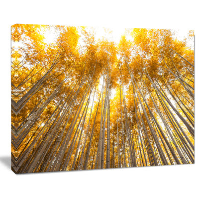 " Autumn Bamboo Grove "
