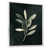 White Floater Framed