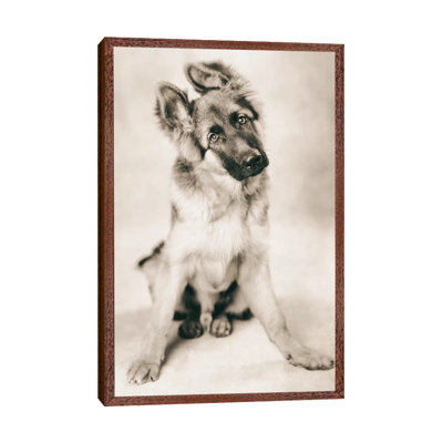 Carlos 1 Piece Wall Art on Canvas