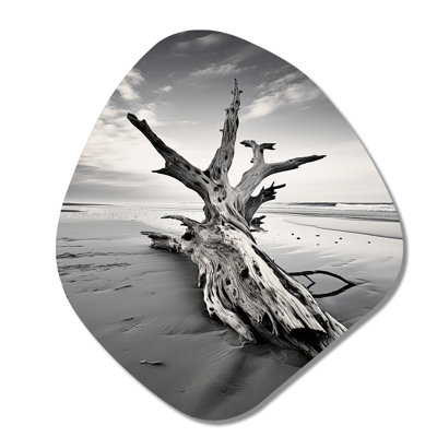 «Beach Driftwood Photo III - Asymmetric Coastal Beach», reproduction d'art murale en métal de forme unique