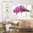Harnek Fresh Orchid Flowers-108918797