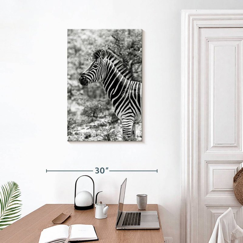 BW Portrait of Burchell's Zebra II, H 30 po x l 20 po