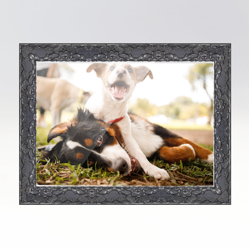 Cadre photo Cornellious, Argent, L 10 po x H 48 po