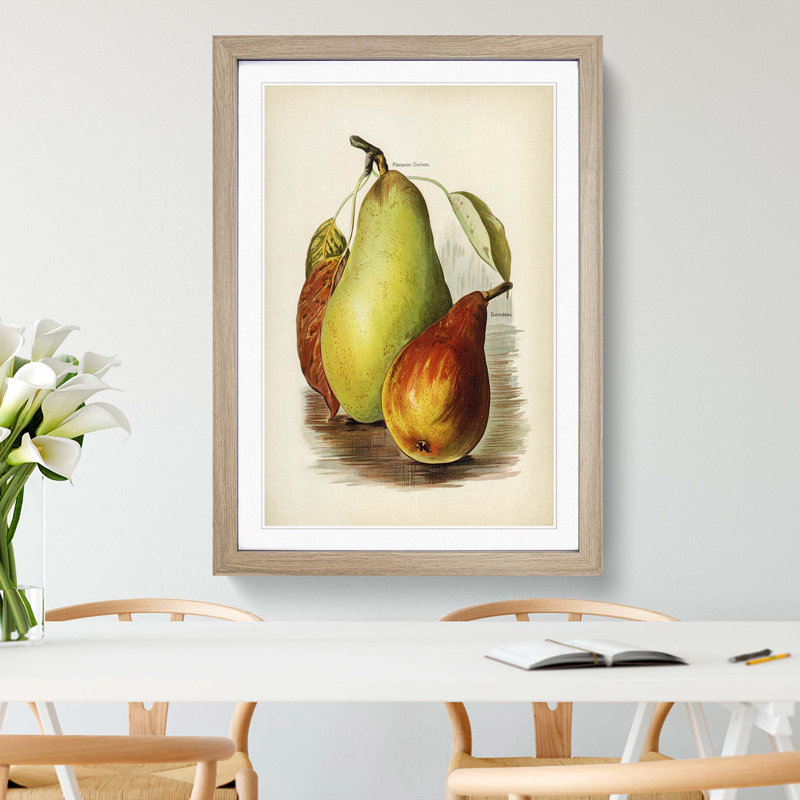 A Vintage Illustration of Pears - Framed Print, Oak Framed, 48cm H x 36cm W x 2cm D