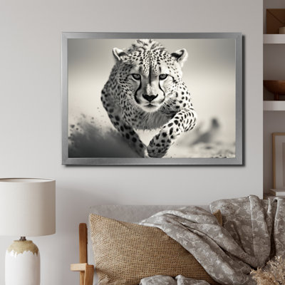 " Africa Cheetahs Speed "