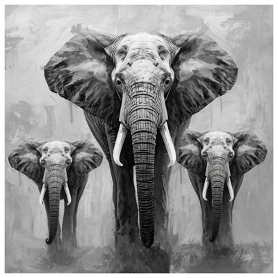 Housses de couette trois éléphants d'Afrique