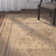 Lundeen Wool Oriental Indoor Rug