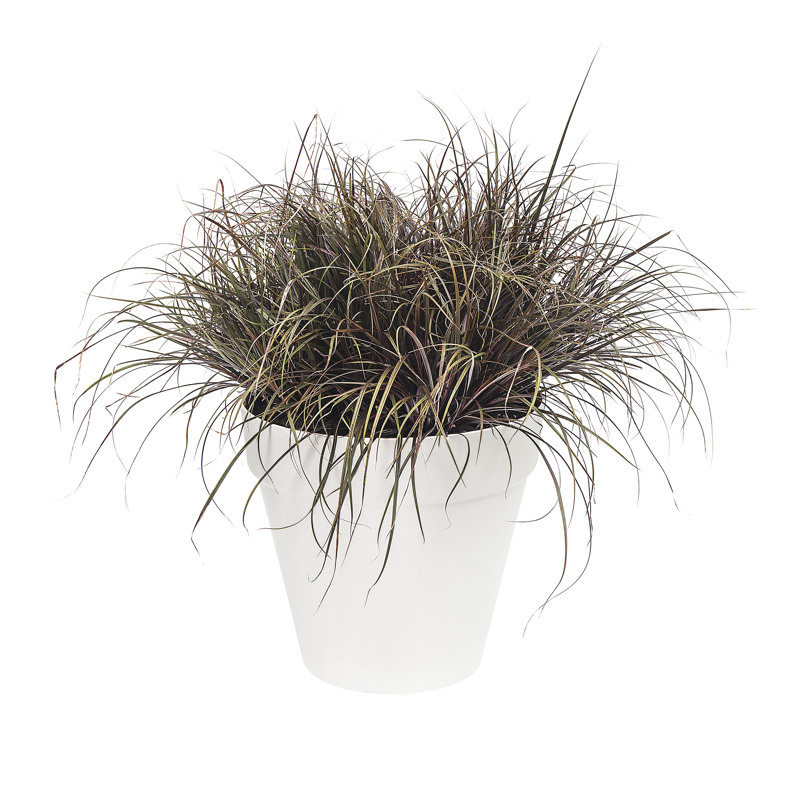 Pot Planter, Warm Grey, 53.2cm H x 59cm W x 59cm D