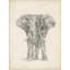 «Red Barrel Studio®» par Harper, Ethan-1349175975
