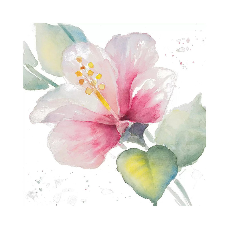 Fragrant Hibiscus II by Lanie Loreth - Wrapped Canvas Gallery-Wrapped Canvas Giclée, 30.48 cm H x 30.48 cm W