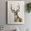 Colchique Handsome Whitetail I - reproduction de photo sur cadre simple-88378435-88378436