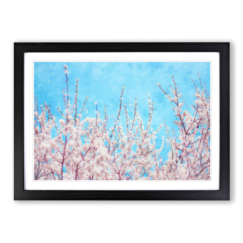 Top of the Blossom Tree - Picture Frame Graphic Art Print, 24cm H x 33cm W x 2cm D, Black Framed