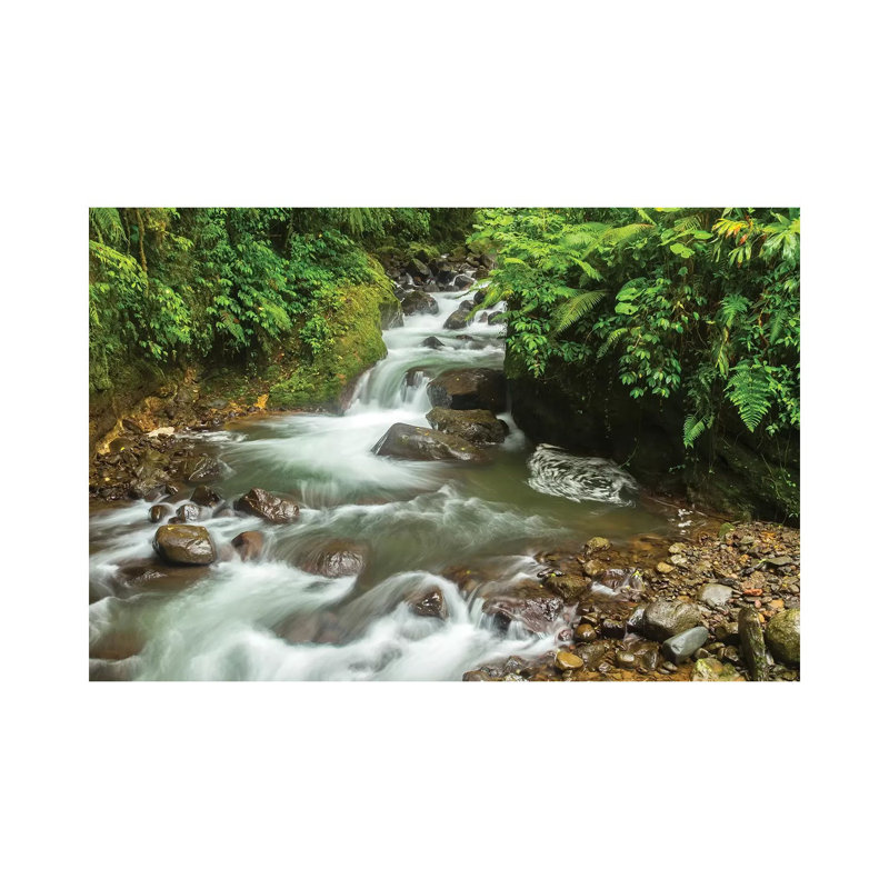 Costa Rica, La Paz River Valley. Rainforest Stream In La Paz Waterfall Garden. by Jaynes Gallery - Wrapped Canvas Print