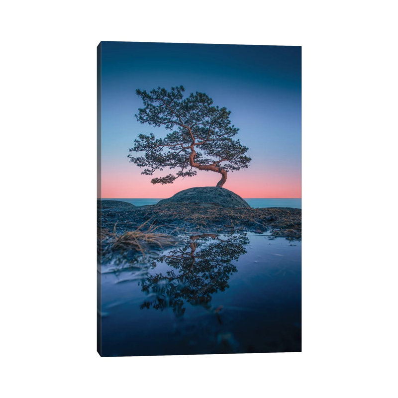 Bonsai II by Lauri Lohi - Wrapped Canvas Print, 66.04 cm H x 45.72 cm W x 1.91 cm D