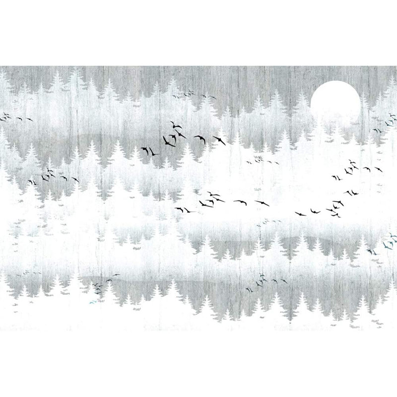 Peel & Stick Border, 100" L x 144" W