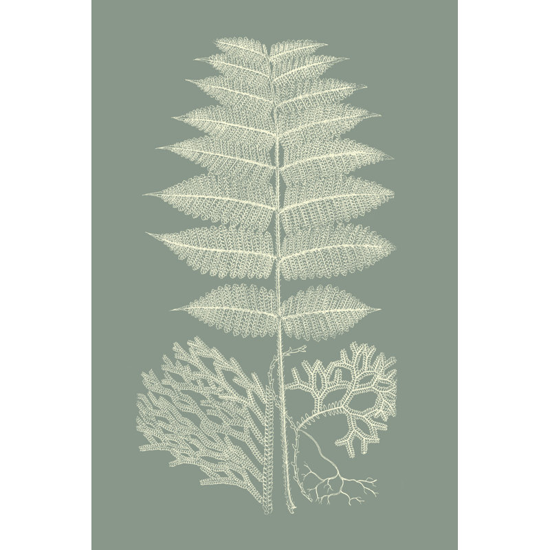 Fougères sur sauge V, peinture sur toile, H 48 po x l 32 po