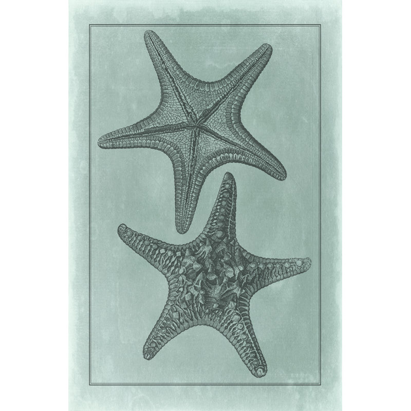 Spa Shell Collection VII by Vision Studio - Wrapped Canvas Art Prints, 91cm H x 61cm W x 3.8cm D