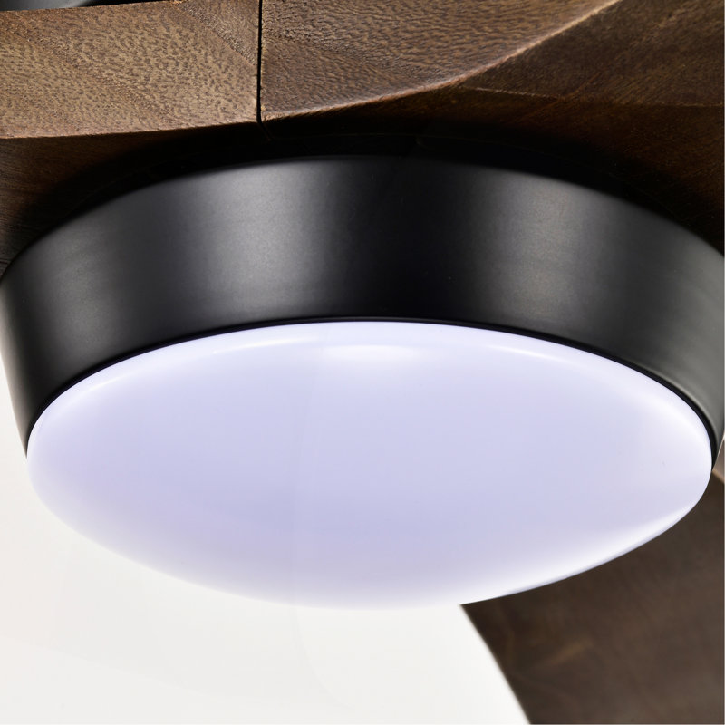Ventilateur de plafond moderne en bois massif de 52 po à 3 pales avec télécommande et ensemble d'éclairage, Noir