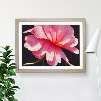 Splendorous Carnation Flower - Framed Print
