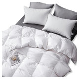 Winter Down Blend Down Comforter